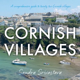 Cornish Vi &hellip;