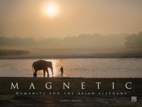 Magnetic