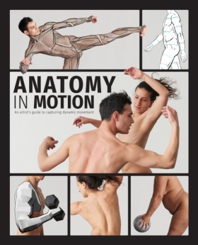 Anatomy in &hellip;