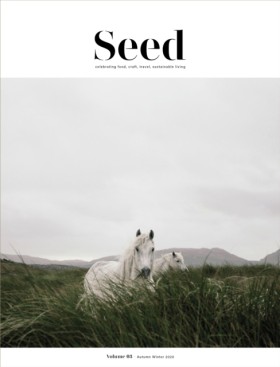 Seed Volum …