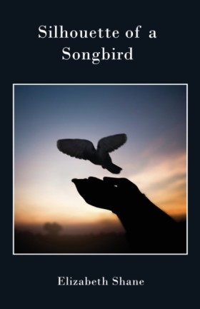 Silhouette …