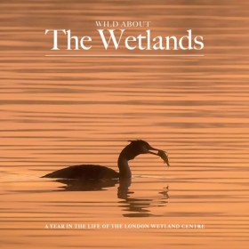 Wild about &hellip;