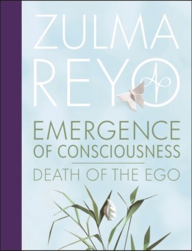 Emergence &hellip;