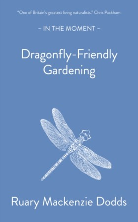 Dragonfly- …
