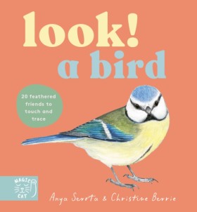 Look! A Bi &hellip;