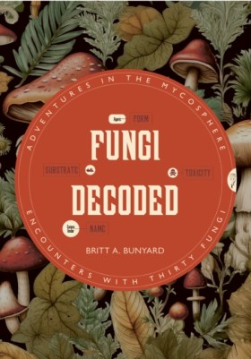Fungi Deco …