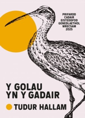 Y Golau yn …