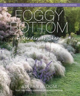 Foggy Bott &hellip;