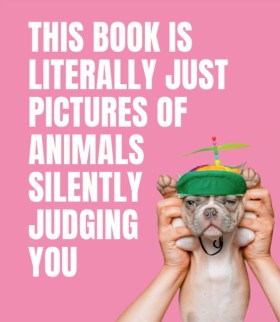 This Book …