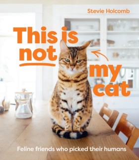 This is no …