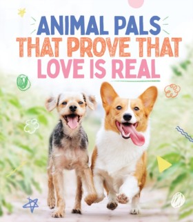 Animal Pal &hellip;