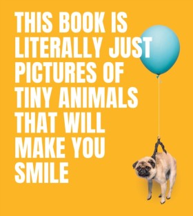 This Book …