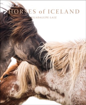 Horses of &hellip;