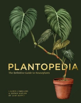 Plantopedi …