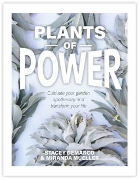 Plants of &hellip;