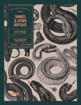 Snakes and &hellip;