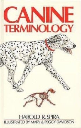 CANINE TER &hellip;