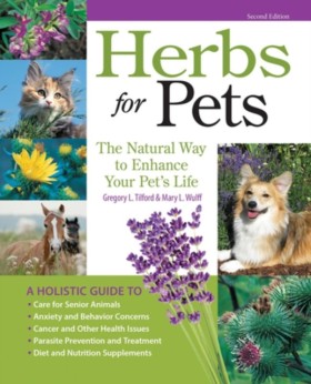 Herbs for &hellip;