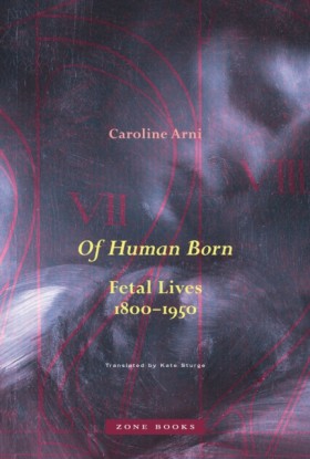 Of Human B &hellip;