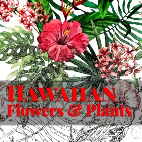 Hawaiian F &hellip;