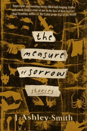 The Measur &hellip;