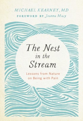 Nest in th …
