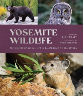 Yosemite W …