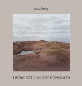 I Burn But &hellip;