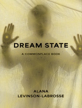 Dream Stat &hellip;