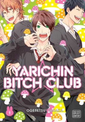 Yarichin B …