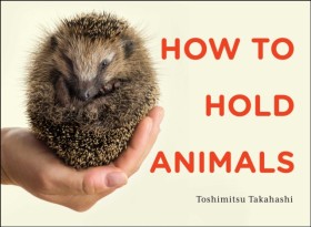 How to Hol &hellip;