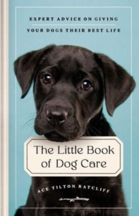 The Little &hellip;