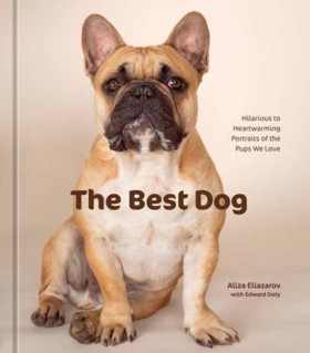 The Best D &hellip;