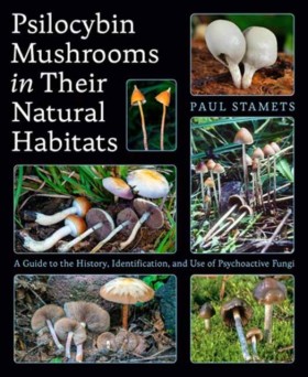Psilocybin …