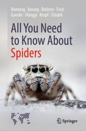 All You Ne …