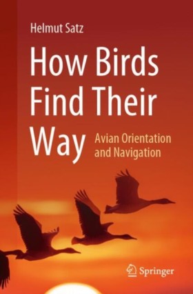 How Birds &hellip;