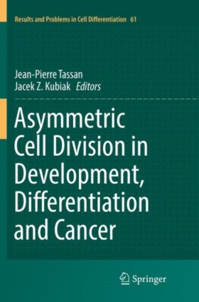 Asymmetric &hellip;