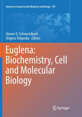 Euglena: B &hellip;