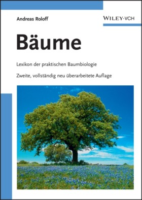 Baume