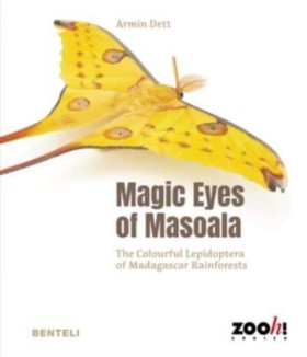 Magic Eyes &hellip;