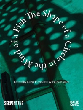 The Shape …