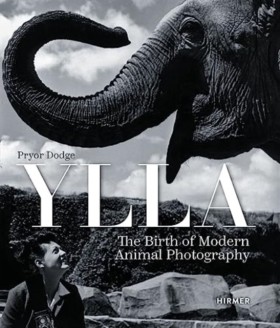 Ylla: The …