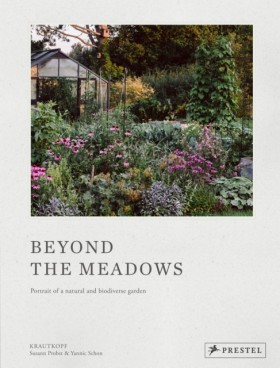 Beyond the &hellip;