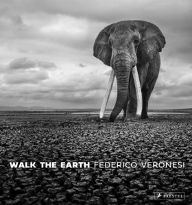 Walk the E …