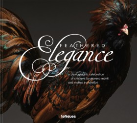 Feathered &hellip;