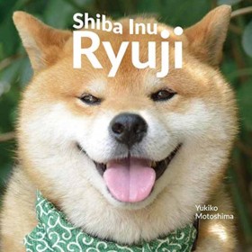 Shiba Inu …