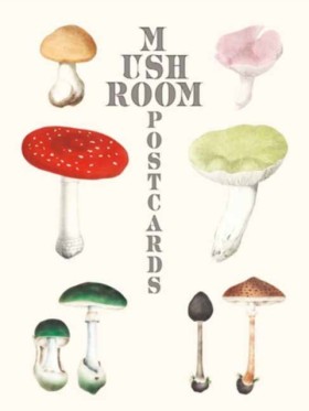 Mushroom P …