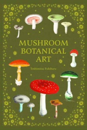 Mushroom B …