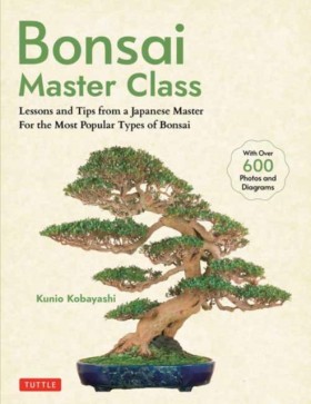 Bonsai Mas &hellip;
