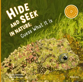 Hide and S &hellip;